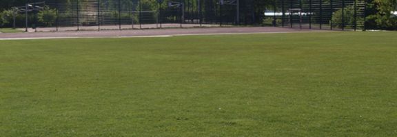 PC300614.jpg