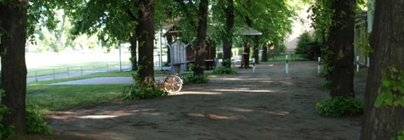 psv11.jpg